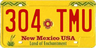 NM license plate 304TMU
