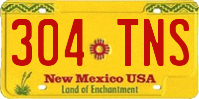 NM license plate 304TNS