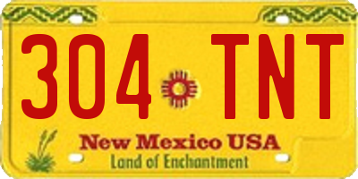 NM license plate 304TNT