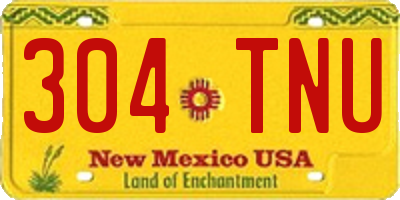 NM license plate 304TNU