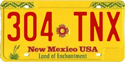 NM license plate 304TNX