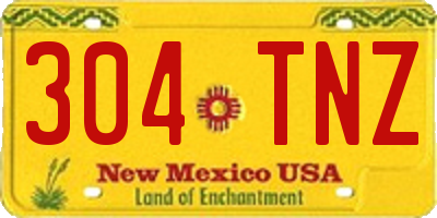 NM license plate 304TNZ