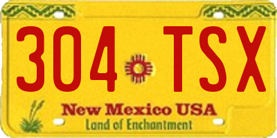 NM license plate 304TSX