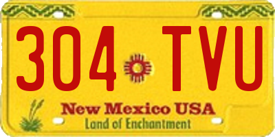 NM license plate 304TVU