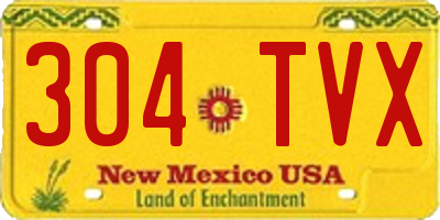 NM license plate 304TVX