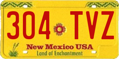 NM license plate 304TVZ