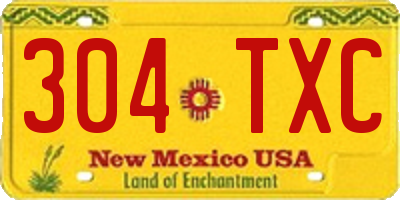 NM license plate 304TXC