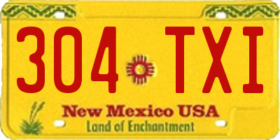 NM license plate 304TXI