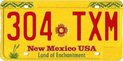 NM license plate 304TXM