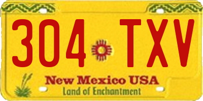 NM license plate 304TXV