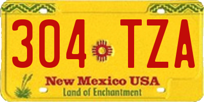 NM license plate 304TZA