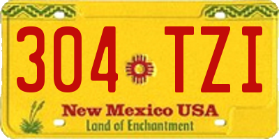NM license plate 304TZI