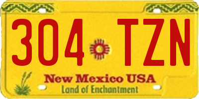 NM license plate 304TZN