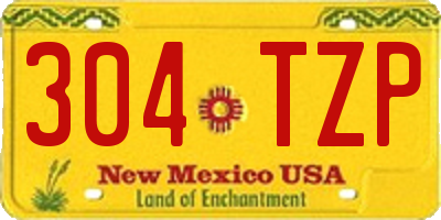 NM license plate 304TZP
