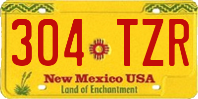 NM license plate 304TZR