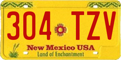 NM license plate 304TZV