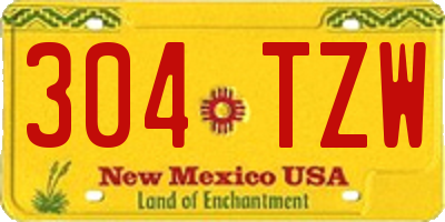 NM license plate 304TZW