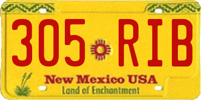 NM license plate 305RIB