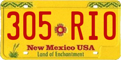 NM license plate 305RIO