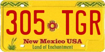 NM license plate 305TGR
