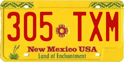 NM license plate 305TXM