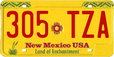 NM license plate 305TZA
