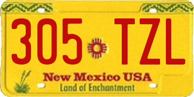 NM license plate 305TZL