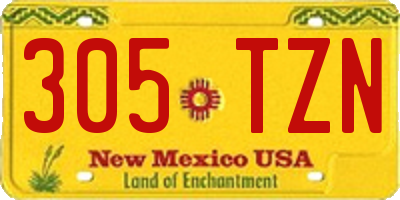 NM license plate 305TZN