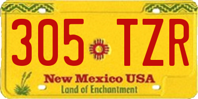 NM license plate 305TZR