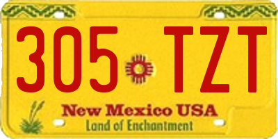 NM license plate 305TZT