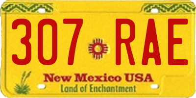 NM license plate 307RAE