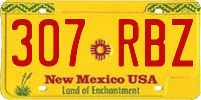 NM license plate 307RBZ