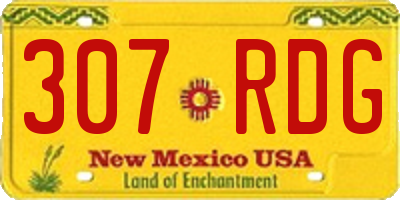 NM license plate 307RDG