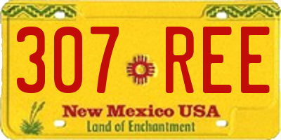 NM license plate 307REE
