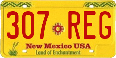 NM license plate 307REG