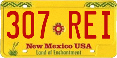 NM license plate 307REI