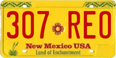 NM license plate 307REO