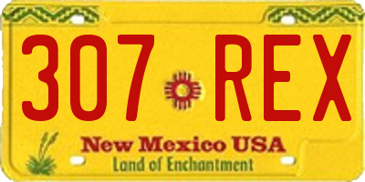 NM license plate 307REX