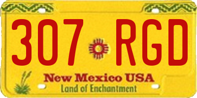 NM license plate 307RGD