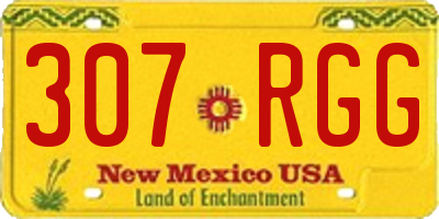 NM license plate 307RGG