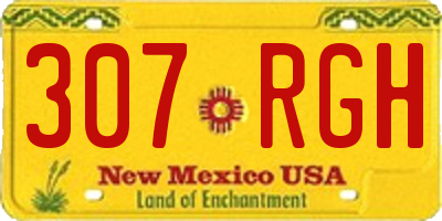 NM license plate 307RGH