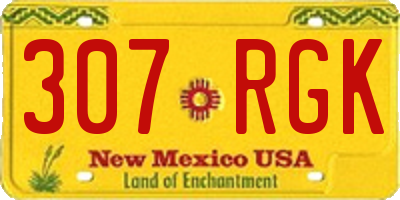 NM license plate 307RGK