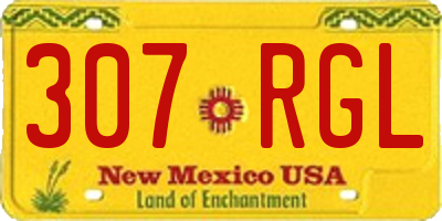 NM license plate 307RGL