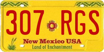 NM license plate 307RGS