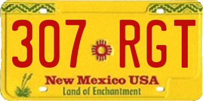 NM license plate 307RGT