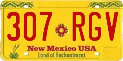 NM license plate 307RGV
