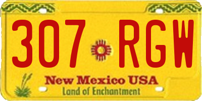 NM license plate 307RGW