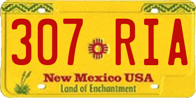 NM license plate 307RIA