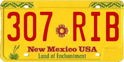 NM license plate 307RIB
