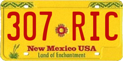 NM license plate 307RIC